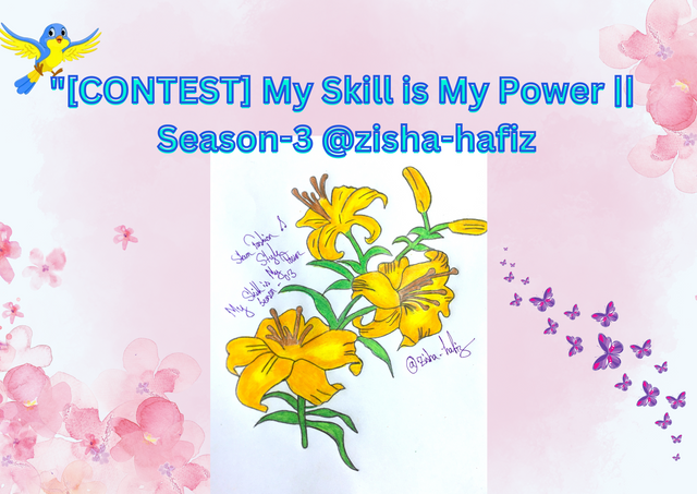 [CONTEST] My Skill is My Power  Season-3 by @zisha-hafiz .png